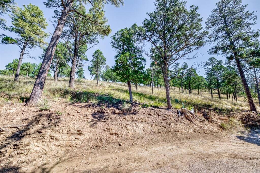 Perk Canyon Hidden Acres-Hot Tub-Gas Fireplace Ruidoso Exteriör bild